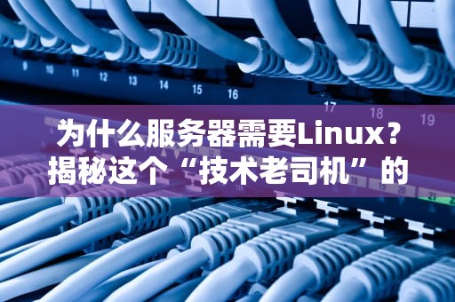 为什么服务器需要Linux？揭秘这个“技术老司机”的硬核实力！