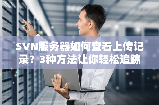 SVN服务器如何查看上传记录？3种方法让你轻松追踪代码变更史！