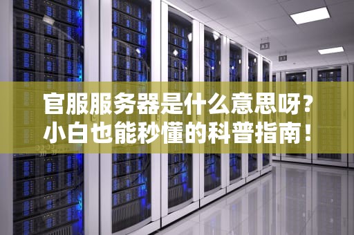 官服服务器是什么意思呀？小白也能秒懂的科普指南！