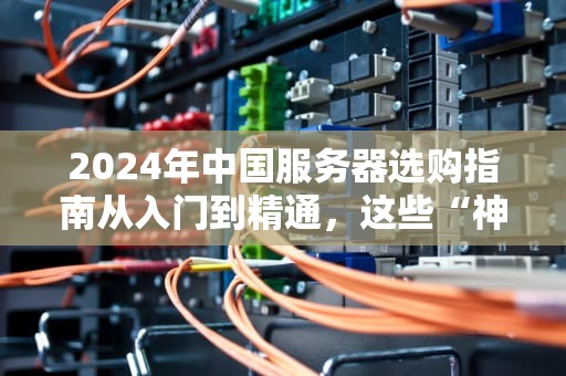 2024年中国服务器选购指南从入门到精通，这些“神器”你值得拥有！