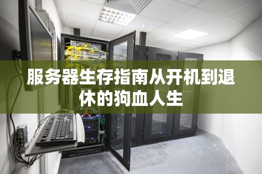 服务器生存指南从开机到退休的狗血人生