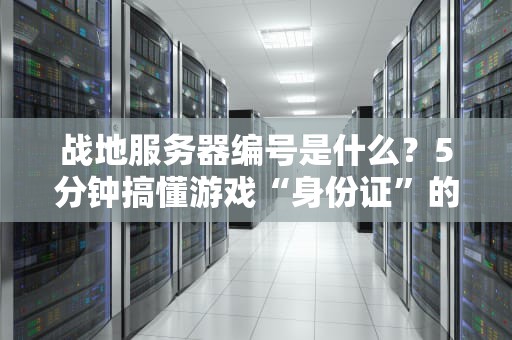 战地服务器编号是什么？5分钟搞懂游戏“身份证”的秘密！