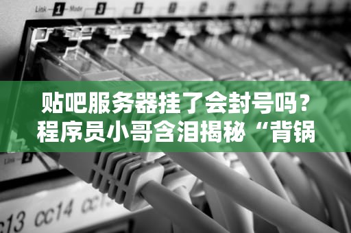 贴吧服务器挂了会封号吗？程序员小哥含泪揭秘“背锅”真相！