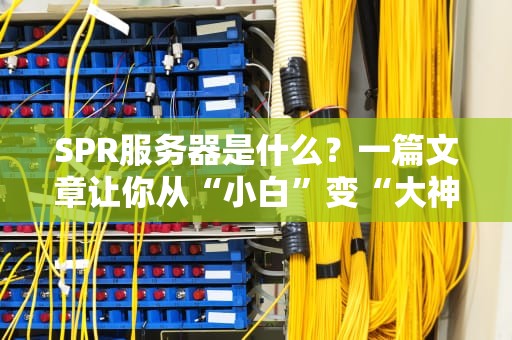 SPR服务器是什么？一篇文章让你从“小白”变“大神”（附性能实测对比）
