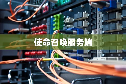 使命召唤服务端