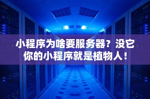 小程序为啥要服务器？没它你的小程序就是植物人！