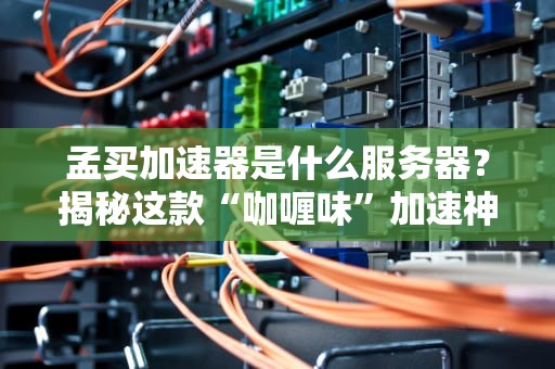 孟买加速器是什么服务器？揭秘这款“咖喱味”加速神器的真实实力！