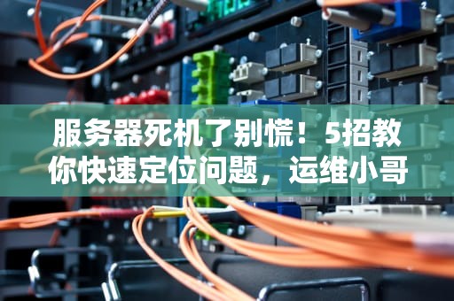 服务器死机了别慌！5招教你快速定位问题，运维小哥都直呼内行