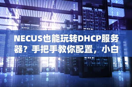 NECUS也能玩转DHCP服务器？手把手教你配置，小白秒变网管大神！