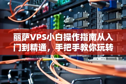 丽萨VPS小白操作指南从入门到精通，手把手教你玩转虚拟服务器！