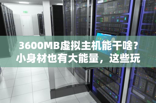 3600MB虚拟主机能干啥？小身材也有大能量，这些玩法你绝对想不到！