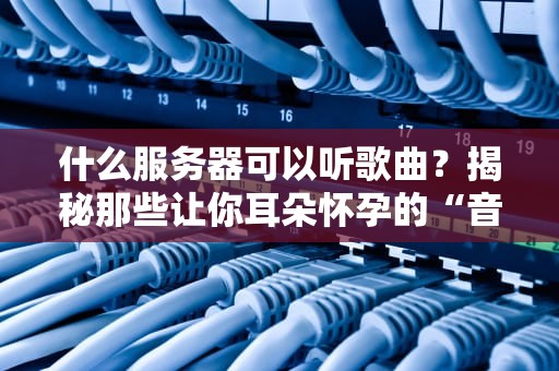 什么服务器可以听歌曲？揭秘那些让你耳朵怀孕的“音乐服务器”