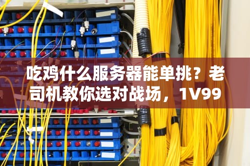 吃鸡什么服务器能单挑？老司机教你选对战场，1V99不是梦！