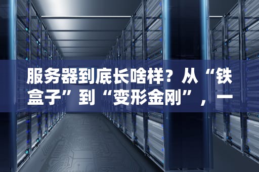 服务器到底长啥样？从“铁盒子”到“变形金刚”，一篇让你笑出腹肌的科普文！
