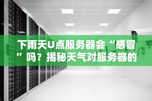 下雨天U点服务器会“感冒”吗？揭秘天气对服务器的神奇影响！