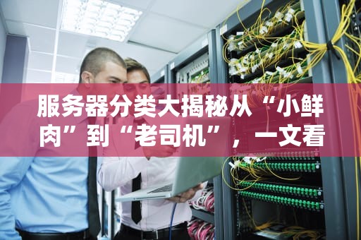 服务器分类大揭秘从“小鲜肉”到“老司机”，一文看懂所有门道！