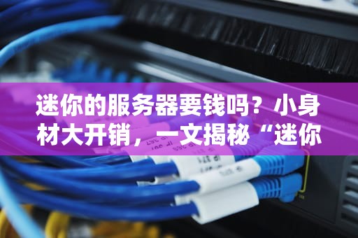 迷你的服务器要钱吗？小身材大开销，一文揭秘“迷你服”的隐藏成本！