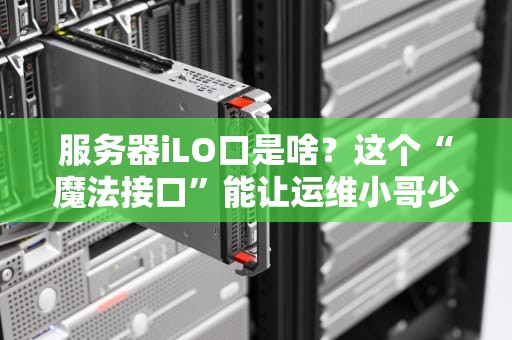 服务器iLO口是啥？这个“魔法接口”能让运维小哥少掉头发！