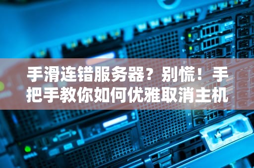 手滑连错服务器？别慌！手把手教你如何优雅取消主机服务器连接（附专业避坑指南）