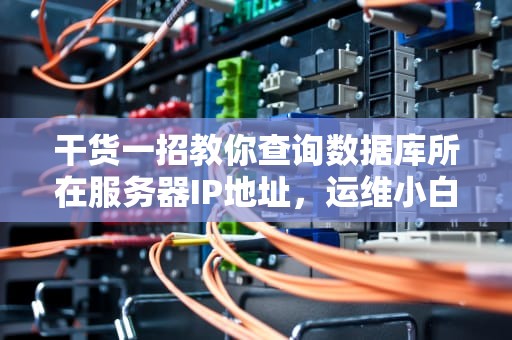 干货一招教你查询数据库所在服务器IP地址，运维小白也能秒懂！