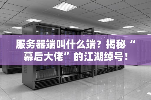 服务器端叫什么端？揭秘“幕后大佬”的江湖绰号！