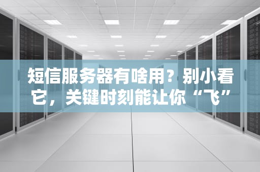 短信服务器有啥用？别小看它，关键时刻能让你“飞”起来！