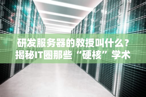 研发服务器的教授叫什么？揭秘IT圈那些“硬核”学术大牛！