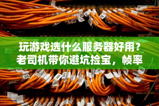 玩游戏选什么服务器好用？老司机带你避坑捡宝，帧率狂飙不是梦！