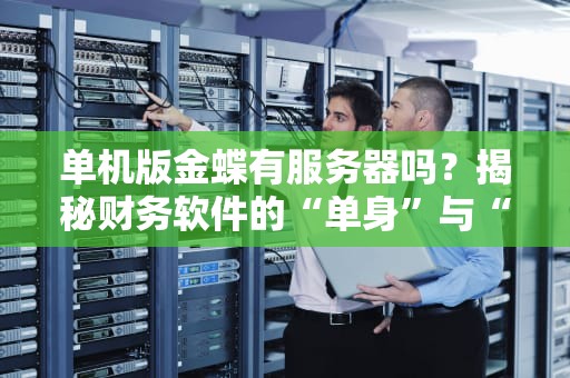 单机版金蝶有服务器吗？揭秘财务软件的“单身”与“社交”模式