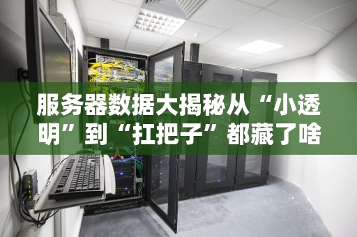 服务器数据大揭秘从“小透明”到“扛把子”都藏了啥？