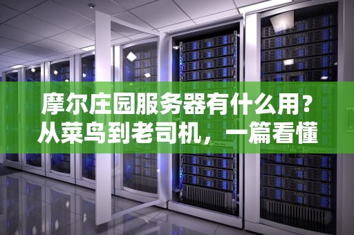摩尔庄园服务器有什么用？从菜鸟到老司机，一篇看懂游戏服务器的那些事儿！