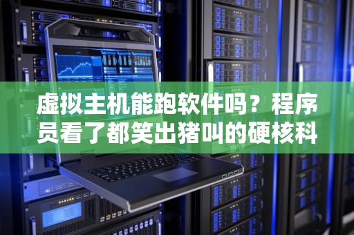 虚拟主机能跑软件吗？程序员看了都笑出猪叫的硬核科普！
