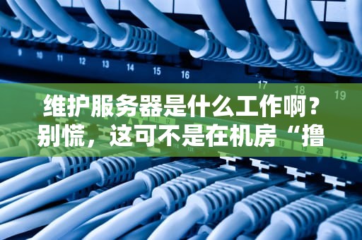 维护服务器是什么工作啊？别慌，这可不是在机房“撸猫”！