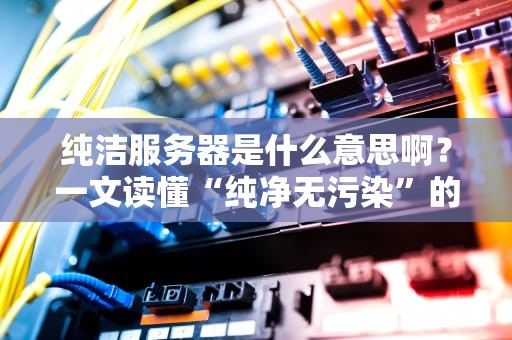 纯洁服务器是什么意思啊？一文读懂“纯净无污染”的服务器世界！
