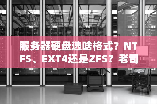 服务器硬盘选啥格式？NTFS、EXT4还是ZFS？老司机带你飙车不翻车！