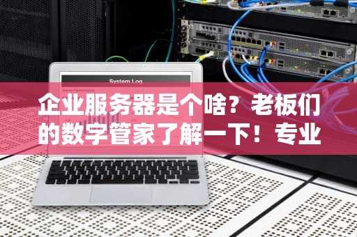 企业服务器是个啥？老板们的数字管家了解一下！专业科普+爆笑解读