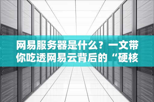 网易服务器是什么？一文带你吃透网易云背后的“硬核厨房”