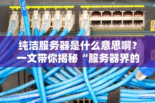 纯洁服务器是什么意思啊？一文带你揭秘“服务器界的小清新”