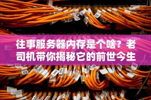 往事服务器内存是个啥？老司机带你揭秘它的前世今生！