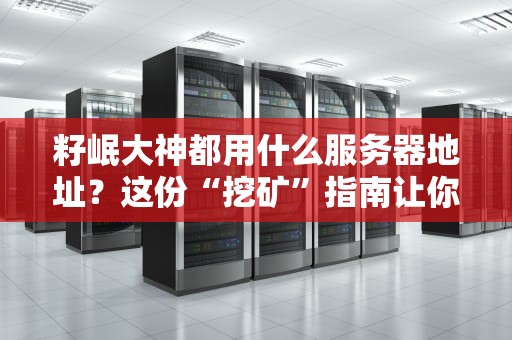 籽岷大神都用什么服务器地址？这份“挖矿”指南让你秒变大佬！