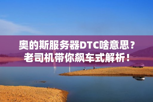 奥的斯服务器DTC啥意思？老司机带你飙车式解析！