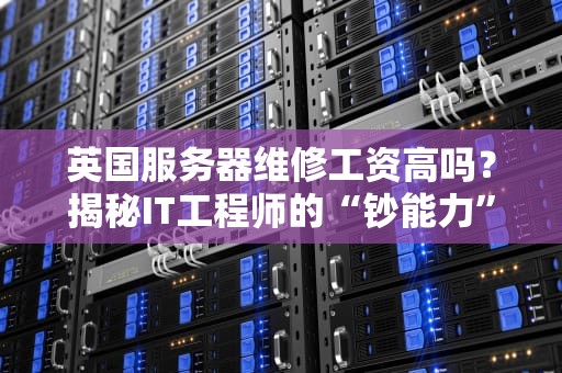 英国服务器维修工资高吗？揭秘IT工程师的“钞能力”与行业真相