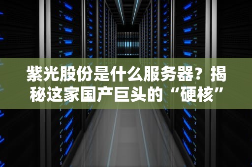 紫光股份是什么服务器？揭秘这家国产巨头的“硬核”实力！