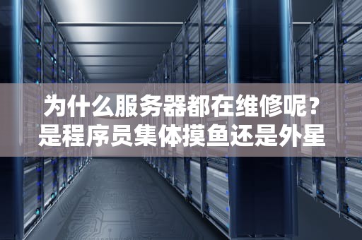 为什么服务器都在维修呢？是程序员集体摸鱼还是外星人入侵？