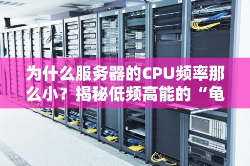 为什么服务器的CPU频率那么小？揭秘低频高能的“龟兔赛跑”哲学！