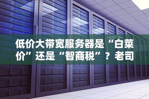 低价大带宽服务器是“白菜价”还是“智商税”？老司机带你扒光它的底裤！