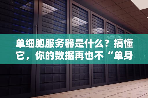 单细胞服务器是什么？搞懂它，你的数据再也不“单身”了！