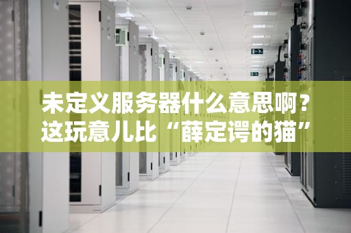 未定义服务器什么意思啊？这玩意儿比“薛定谔的猫”还玄乎！