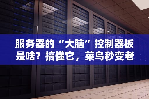 服务器的“大脑”控制器板是啥？搞懂它，菜鸟秒变老司机！