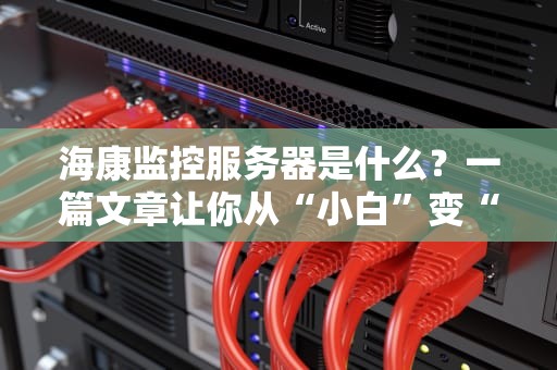 海康监控服务器是什么？一篇文章让你从“小白”变“内行”！